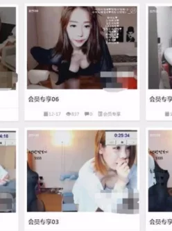 【已失效，更新新帖地址】韩国女主播站会员VIP视频 649部合集[100G/MP4]